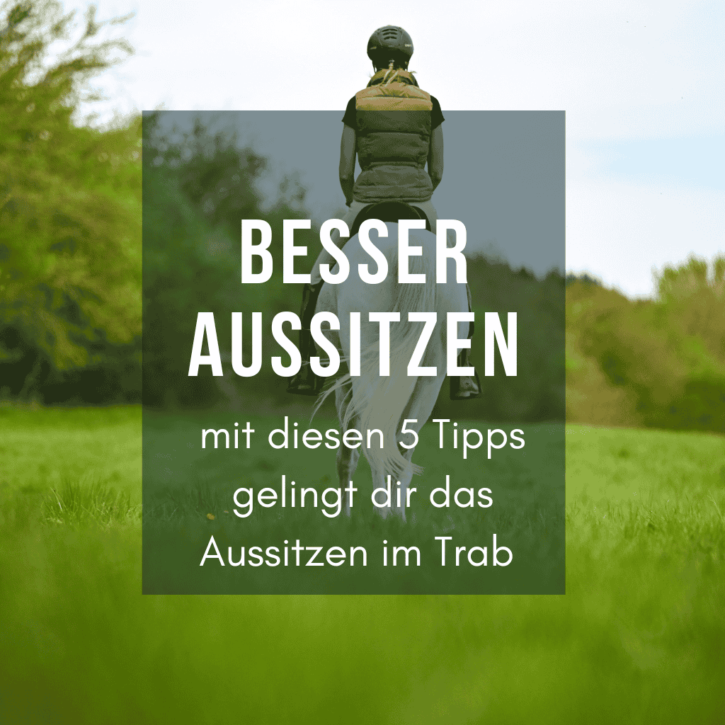 besser aussitzen im Trab