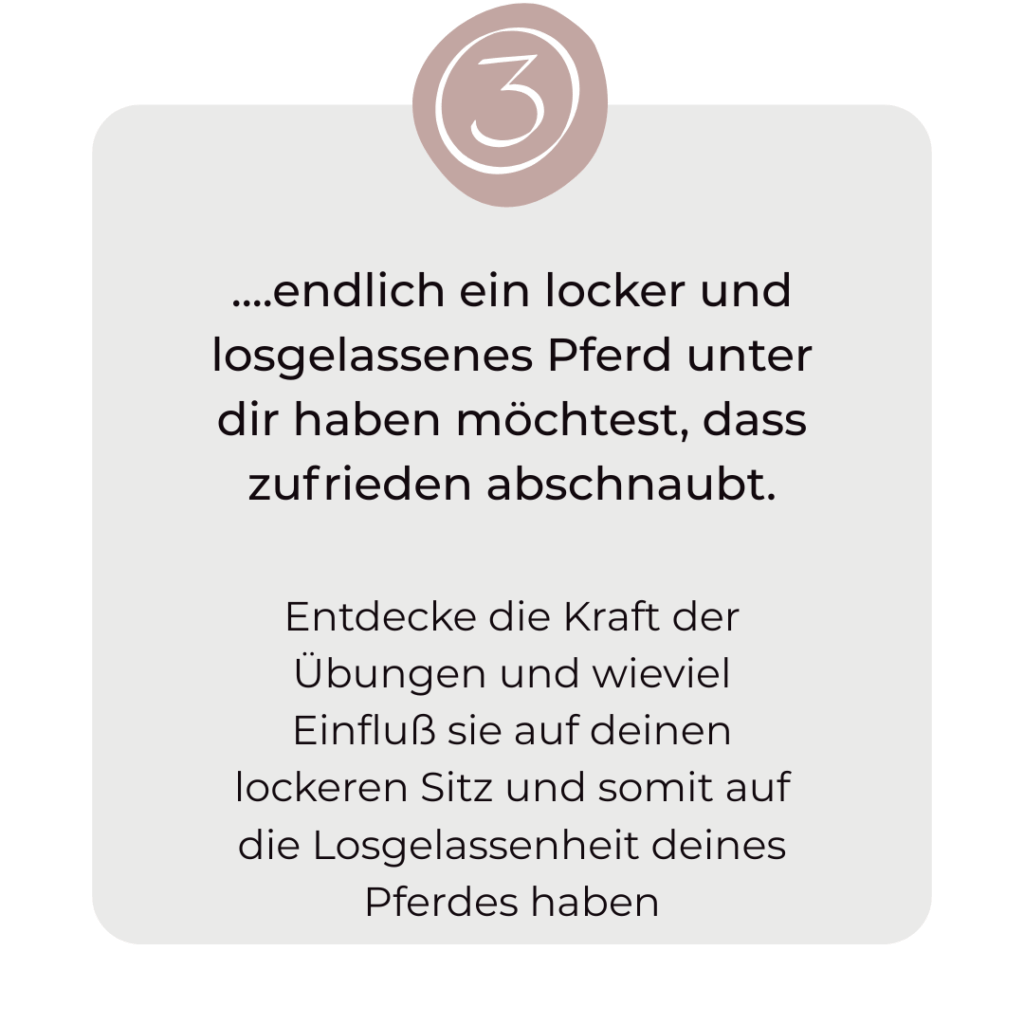 Reitstunden