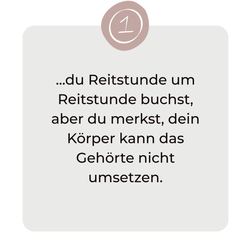richtiger Reitersitz