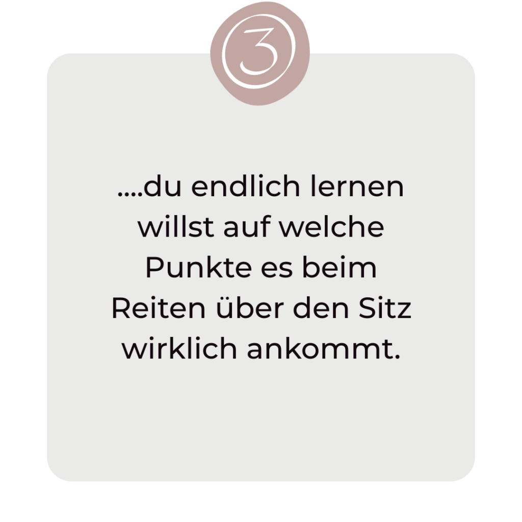 richtiger Reitersitz