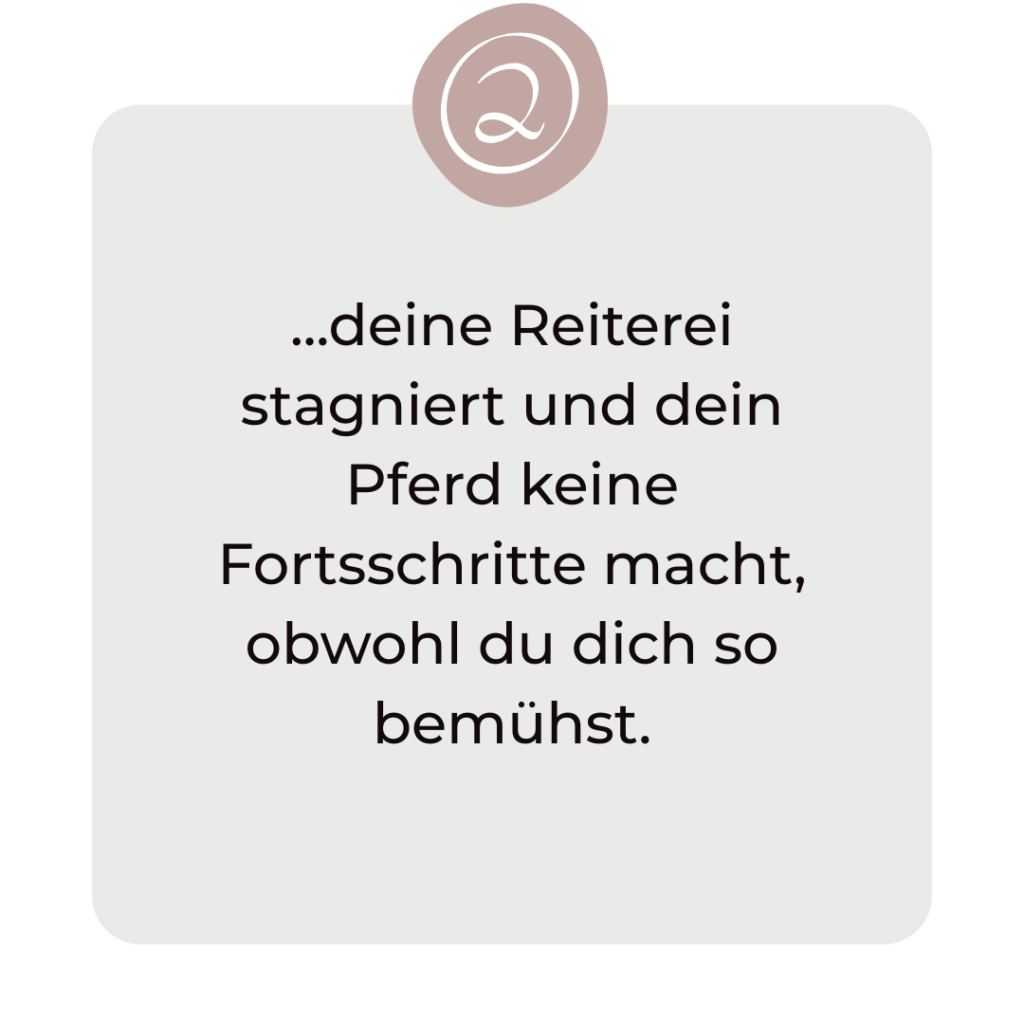 richtiger Reitersitz