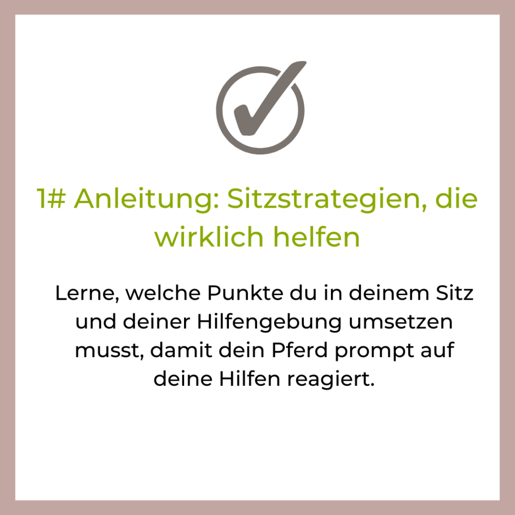 richtiger Reitersitz