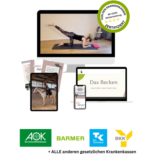 Onlinekurs für Reiter